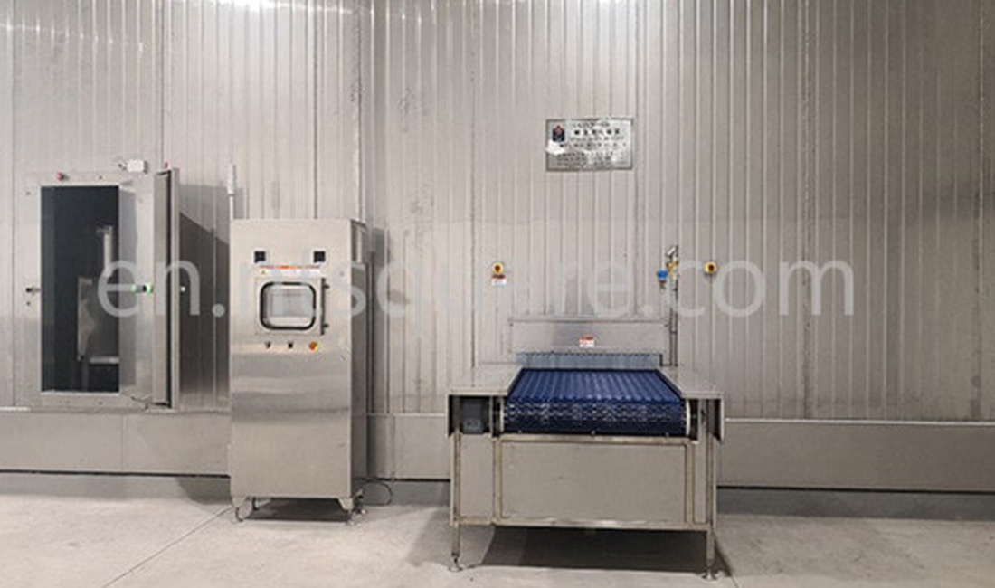 Mexico PATSA-Spiral Freezer With Plastic Modular Belt For Chicken Parts