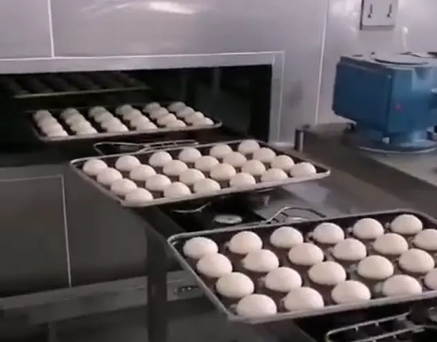 Continuous Oven Case： Sichuan Mankton