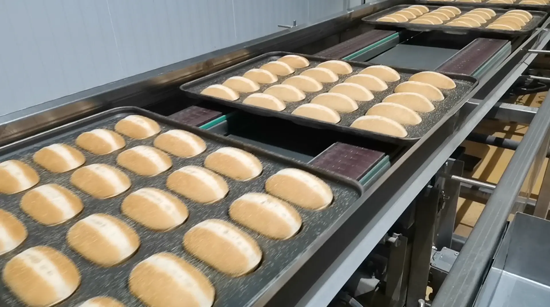 Continuous Oven Case: Baijiayi