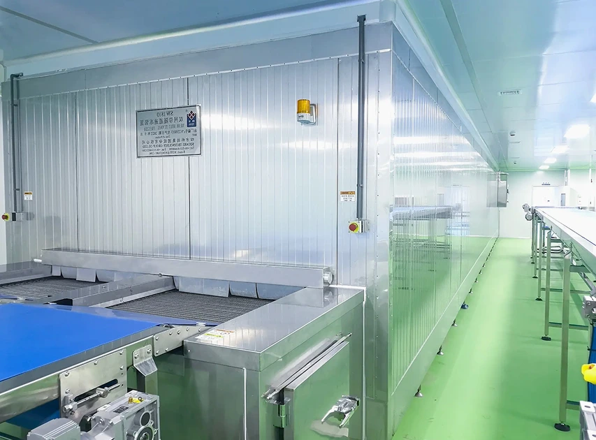 What Is a Tunnel Freezer and How It Works